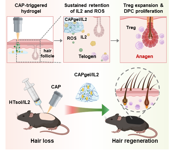 Figure for targeted biotherapeutic delivery