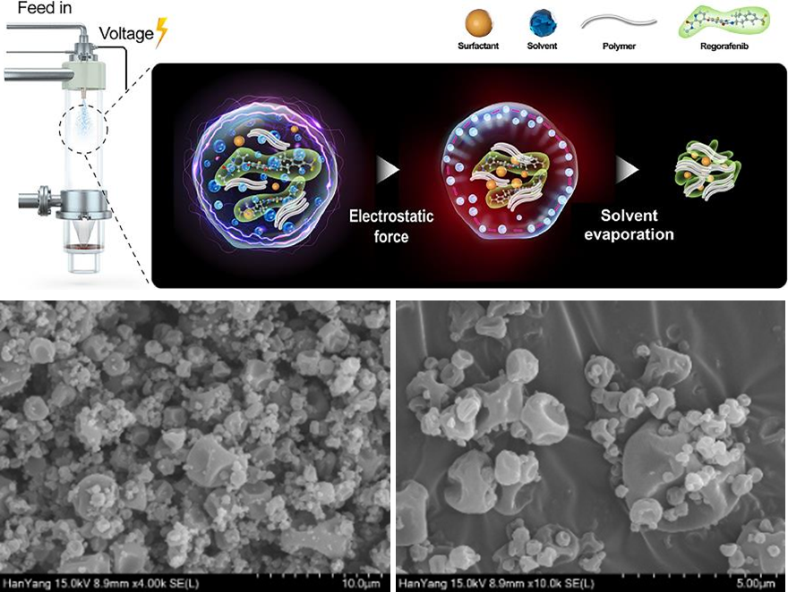 Figure for bioavailability-enhancing nanotherapeutics